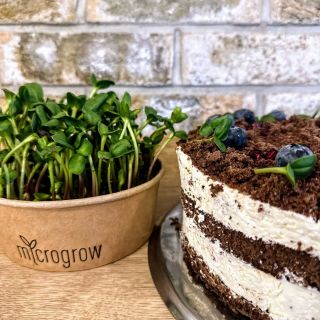 Microgreens k výzdobě dezertů? 🌱🍰 Není problém! Existuje totiž řada druhů, které se velmi hodí i do sladkých pokrmů. Jako...