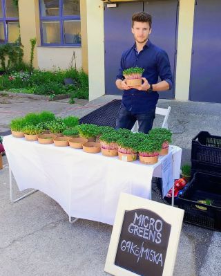 Jarní trh v Riegrovce 💚🌱 #microgreens #microgreensfarmer #riegrova51 #riegrova51zije #bylinky #mikrobylinky #jarnitrhy...